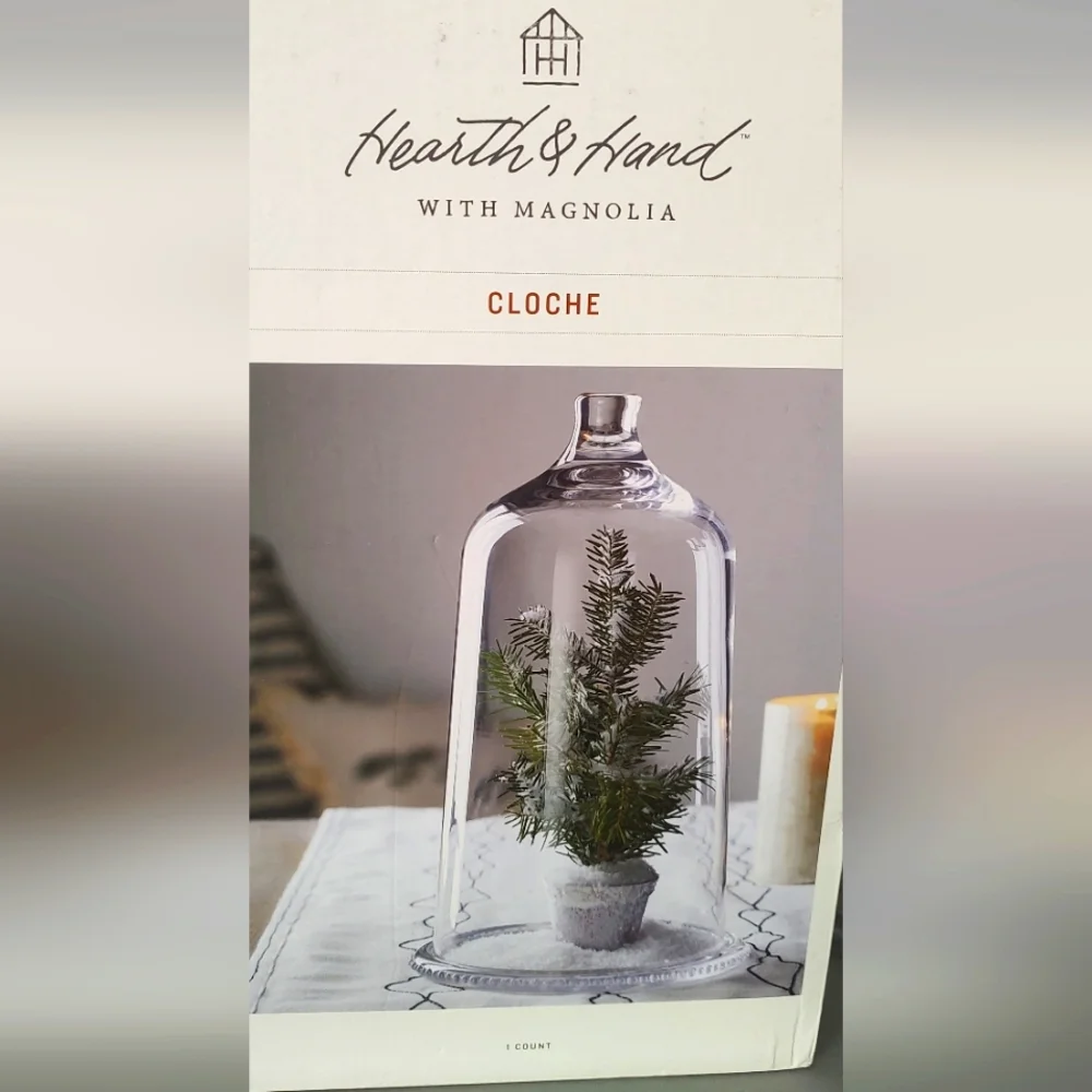 Hearth & Hand Magnolia Glass Dome Cloche With Box 12 Inch New decor New